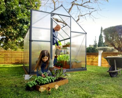 Image showing  6 ft. L x 8 ft. W Gray Mythos Greenhouse