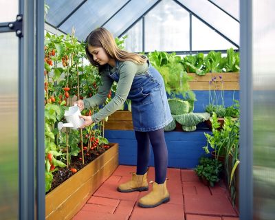 Image showing  6 ft. L x 8 ft. W Gray Mythos Greenhouse