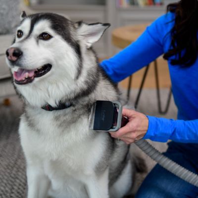 Image showing 9 th furMe Original Pet Grooming Vacuum Kit