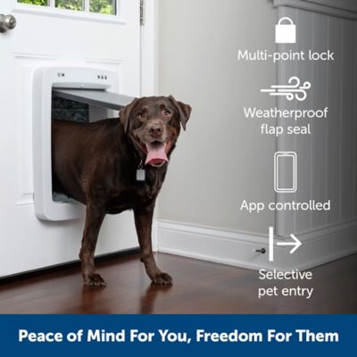 Image showing  Connected Pet Door Power Adapter, US