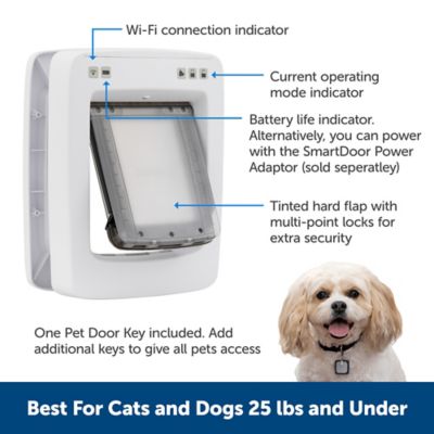 Image showing  Connected SmartDoor Pet Door, ZPA19-17252
