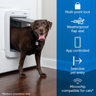 Image showing  Connected SmartDoor Pet Door, ZPA19-17252, Large