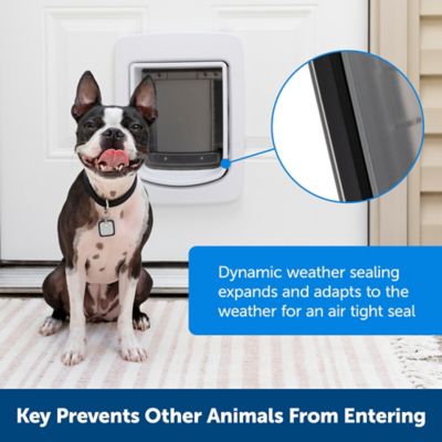 Image showing  Connected SmartDoor Pet Door, ZPA19-17252, Large
