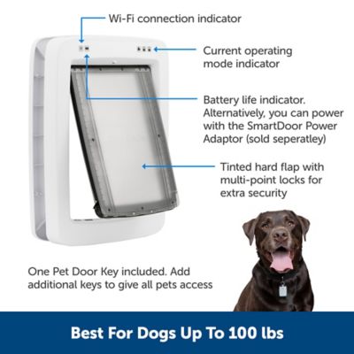 Image showing  Connected SmartDoor Pet Door, ZPA19-17252, Large