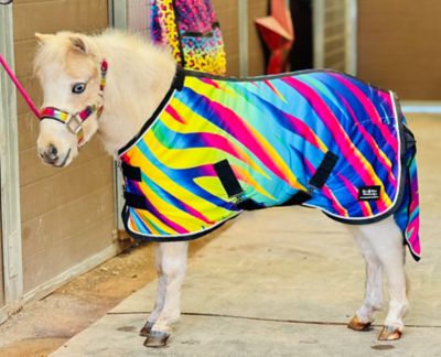 Star Point Horsemanship Mini-Pony Teal Cheetah Fleece Cooler