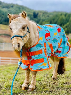 Image showing  Dinosaur Fleece Mini-Pony Cooler