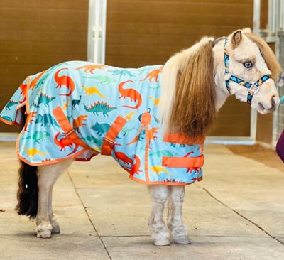 Image showing  Dinosaur Fleece Mini-Pony Cooler