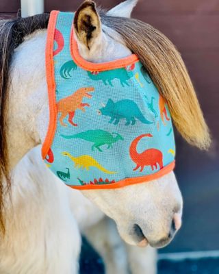 Image showing  Dinosaur Horse Fly Mask without Ears