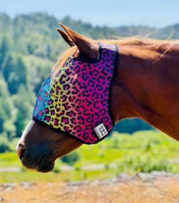 Image showing  Rainbow Cheetah Horse Fly Mask, Horse Size