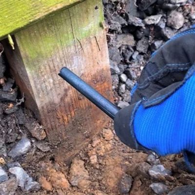 Image showing  Decay Prevention 24 pc. Kit with Date Tag