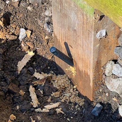 Image showing  Decay Prevention 24 pc. Kit with Date Tag