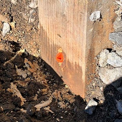 Image showing 5 th Post Proservative Decay Prevention 24 pc. Kit with Date Tag