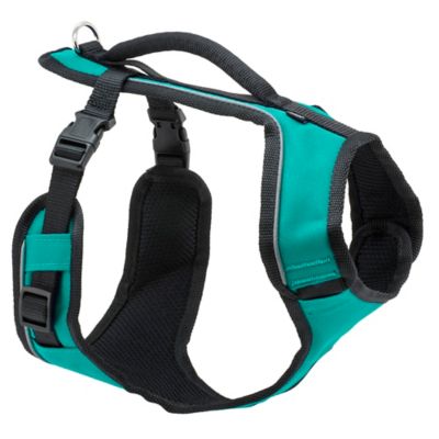 Image showing  Easysport Dog Harness