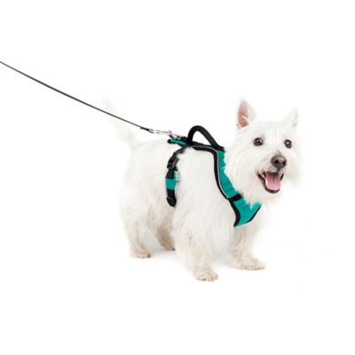 Image showing 5 th PetSafe Easysport Dog Harness