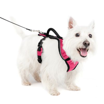 PetSafe Easysport Dog Harness