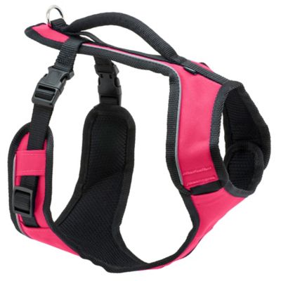 Image showing 7 th PetSafe Easysport Dog Harness