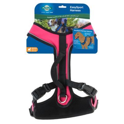 Image showing 8 th PetSafe Easysport Dog Harness
