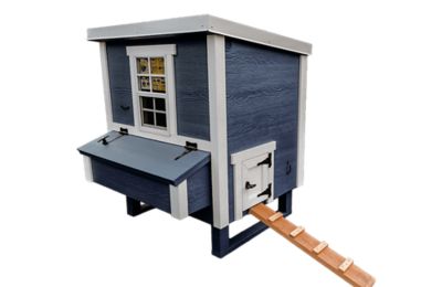 Image showing  Medium Coastal Chicken Coop, 10 Chicken Capacity