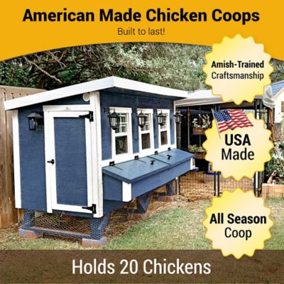 Image showing  Extra-Large Chicken Coop, 20 Chicken Capacity