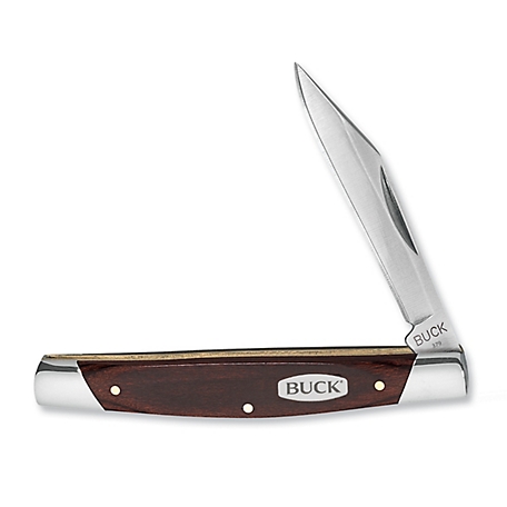 Buck Knives 379 Solo Folding Pocket Knife, 0379BRS-C