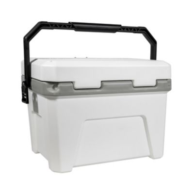 Image showing  21 qt. Frost Cooler