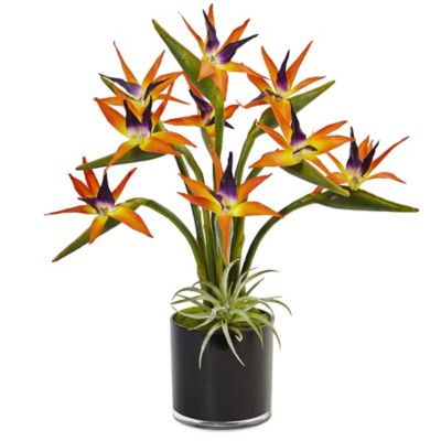 Nearly Natural 24 in. Bird of Paradise Silk Arrangement in Black Glossy Cylinder