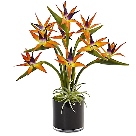 Nearly Natural 24 in. Bird of Paradise Silk Arrangement in Black Glossy Cylinder
