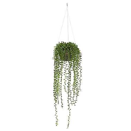 Nearly Natural 21 in. String of Pearl Artificial Plant Hanging Basket