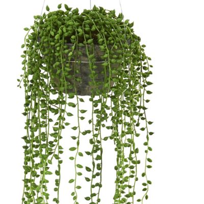Image showing  21 in. String of Pearl Artificial Plant Hanging Basket