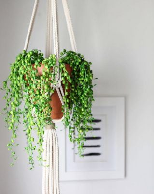 Image showing  21 in. String of Pearl Artificial Plant Hanging Basket