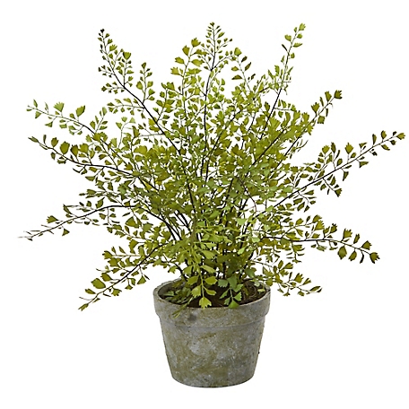 Nearly Natural 13 in. Artificial Maiden Hair Plant in Decorative Planter