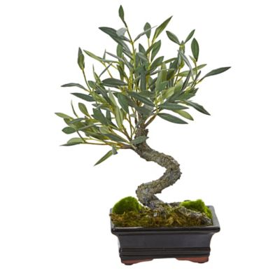 Nearly Natural 13 in. Artificial Mini Olive Bonsai Tree