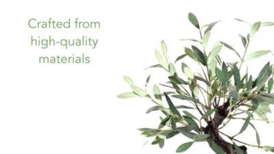 Image showing  13 in. Artificial Mini Olive Bonsai Tree