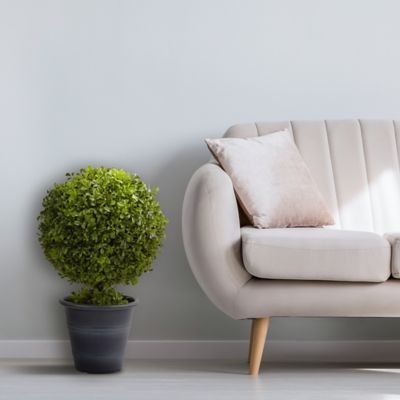 Image showing  23 in. Artificial Boxwood Ball Topiary