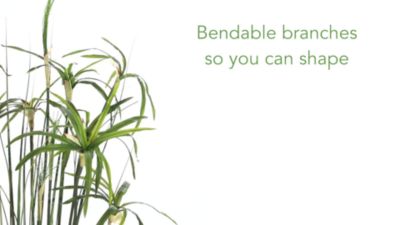 Image showing  48 in. Papyrus Plant with Faux Soil