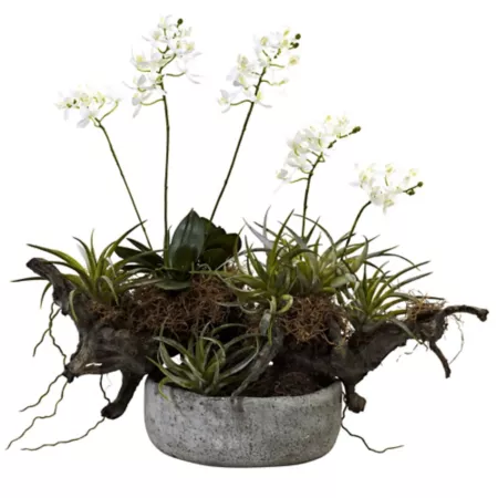 20" Nearly Natural Orchid and Succulent Garden with Driftwood and Decorative Vase Artificial Plants & Flowers