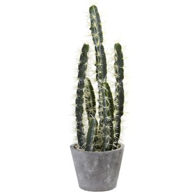 Nearly Natural 27.5 in. Decorative Cactus Garden with Cement Planter