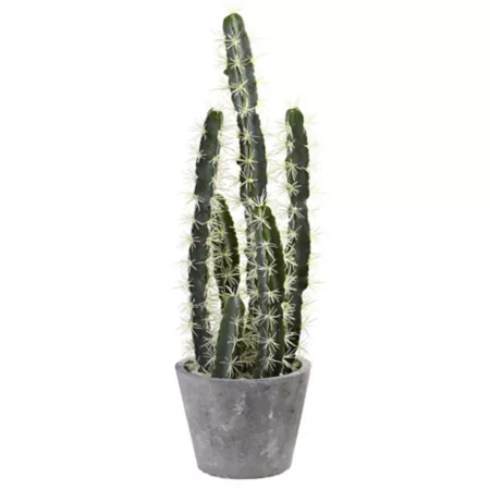 Nearly Natural 27.5" Decorative Cactus Garden with Cement Planter Artificial Plants & Flowers