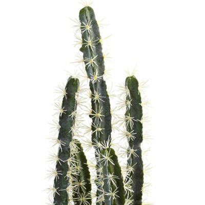 Image showing  27.5 in. Decorative Cactus Garden with Cement Planter