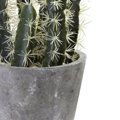 Image showing  27.5 in. Decorative Cactus Garden with Cement Planter