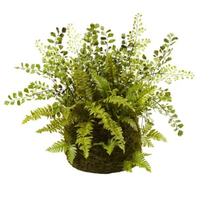 Nearly Natural 13 in. Mixed Fern with Twig and Moss Basket