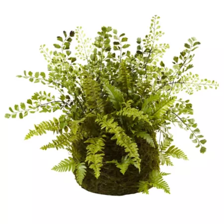 13" Almost Natural Mixed Fern with Twig and Moss Basket Artificial Plants & Flowers