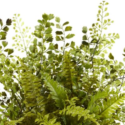 Image showing  13 in. Mixed Fern with Twig and Moss Basket