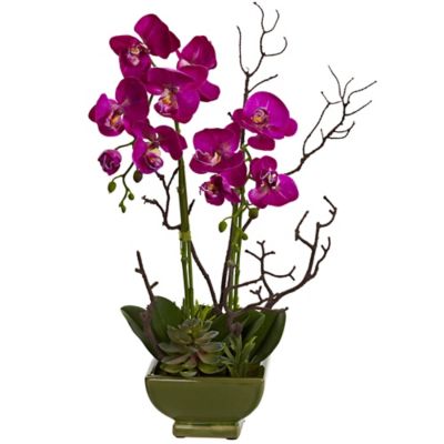 Nearly Natural 21 in. Orchid and Succulent Artificial Floral Arrangement