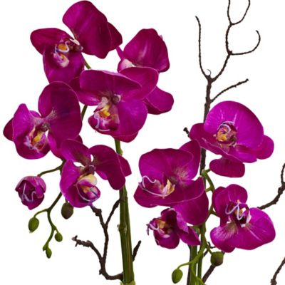 Image showing  21 in. Orchid and Succulent Artificial Floral Arrangement