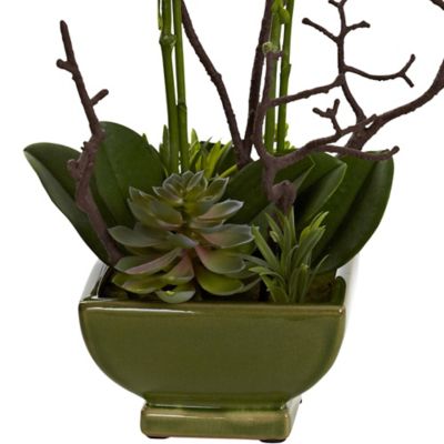 Image showing  21 in. Orchid and Succulent Artificial Floral Arrangement