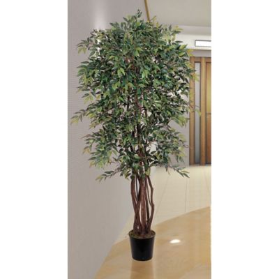 Image showing  6 ft. Smilax Silk Tree