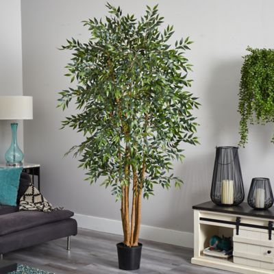 Image showing  6 ft. Smilax Silk Tree