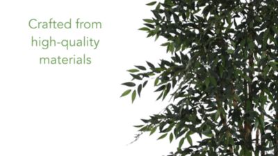 Image showing  6 ft. Smilax Silk Tree