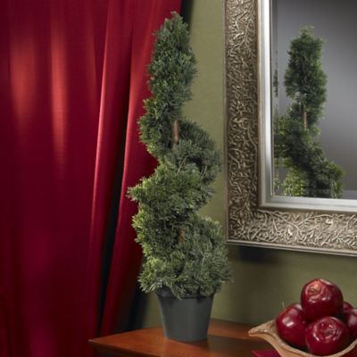 Image showing  2 ft. Indoor/Outdoor Cedar Spiral Silk Tree